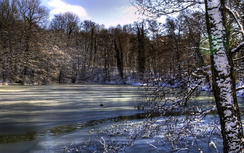 Frozen Lake in Forest — White, Serene, Winter