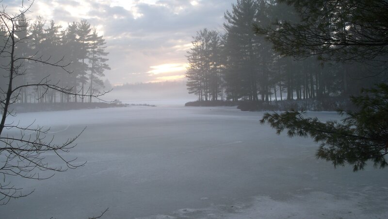 Frozen Lake in Forest — White
