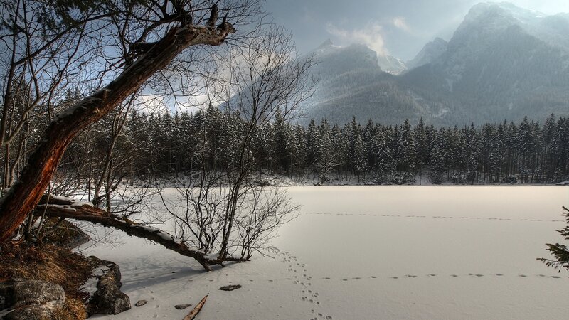 Frozen Lake in Mountains — White, Serene, Winter, Photograph, Snow-covered Trees, Footprints
