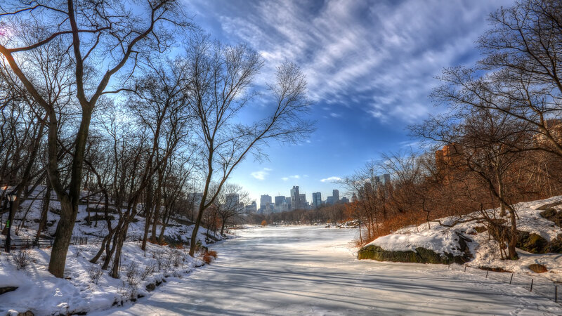 Frozen Lake in Park — Blue