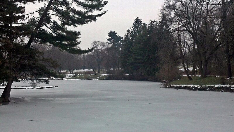 Frozen Lake in Park — Gray