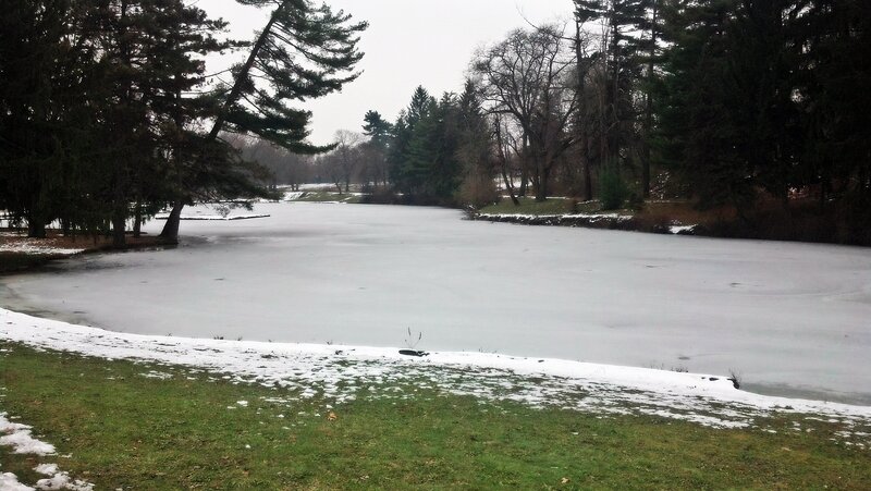 Frozen Lake in Park — Green