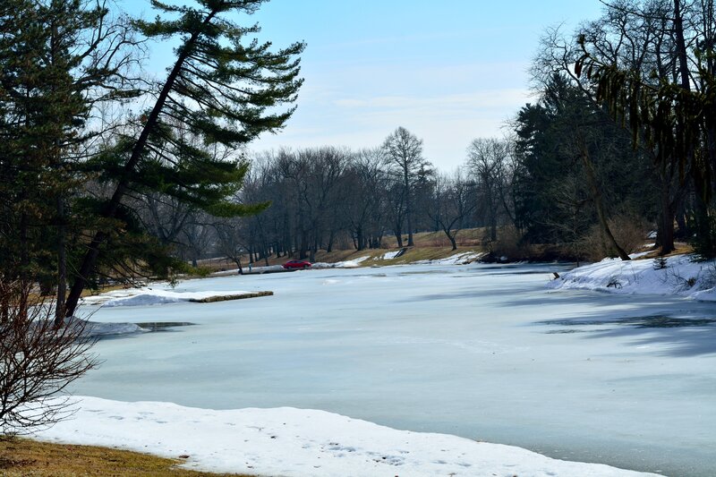 Frozen Lake in Park — White