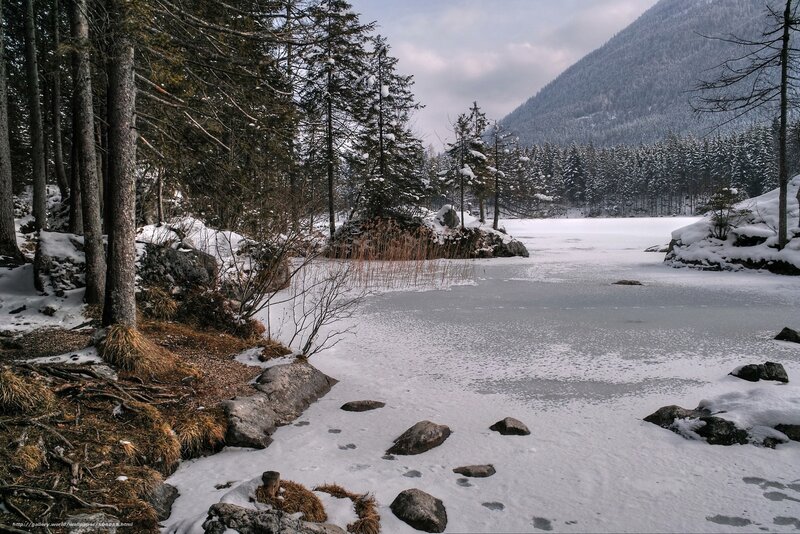 Frozen lake in snowy forest