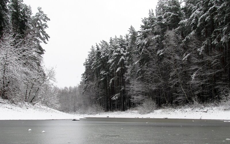 frozen lake in snowy forest