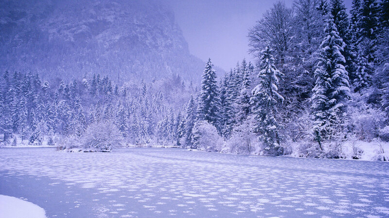 frozen lake in snowy forest