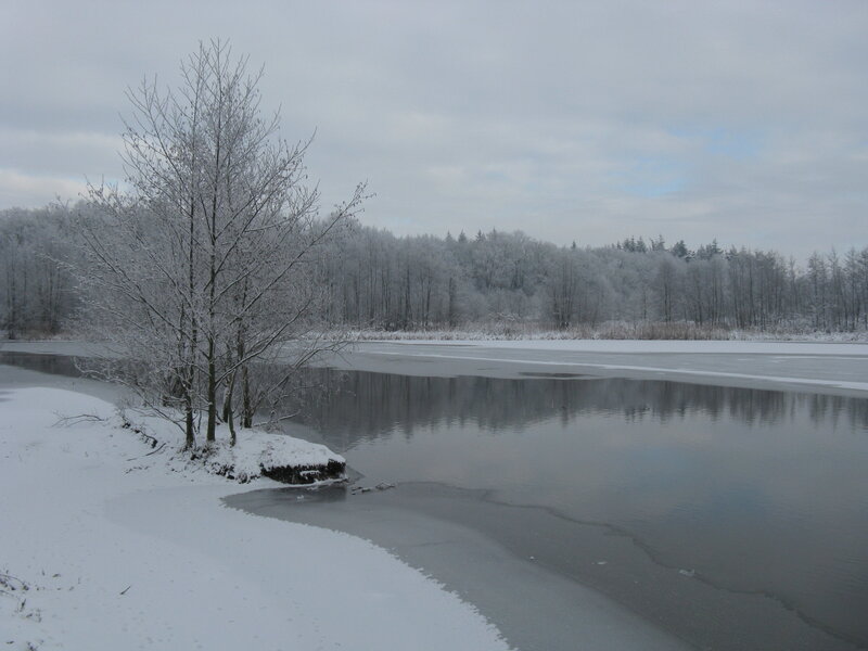 frozen lake in winter