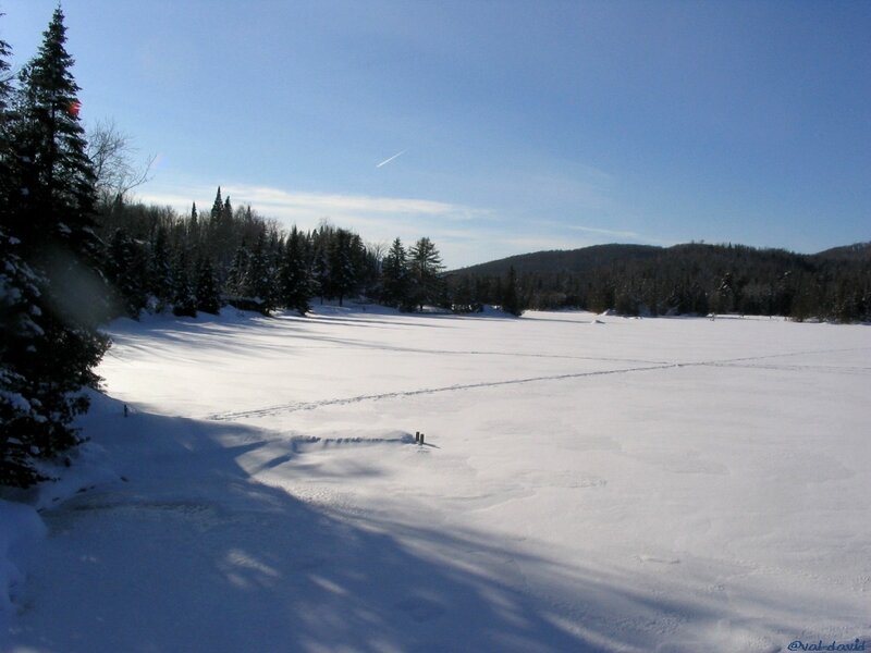 frozen lake in winter