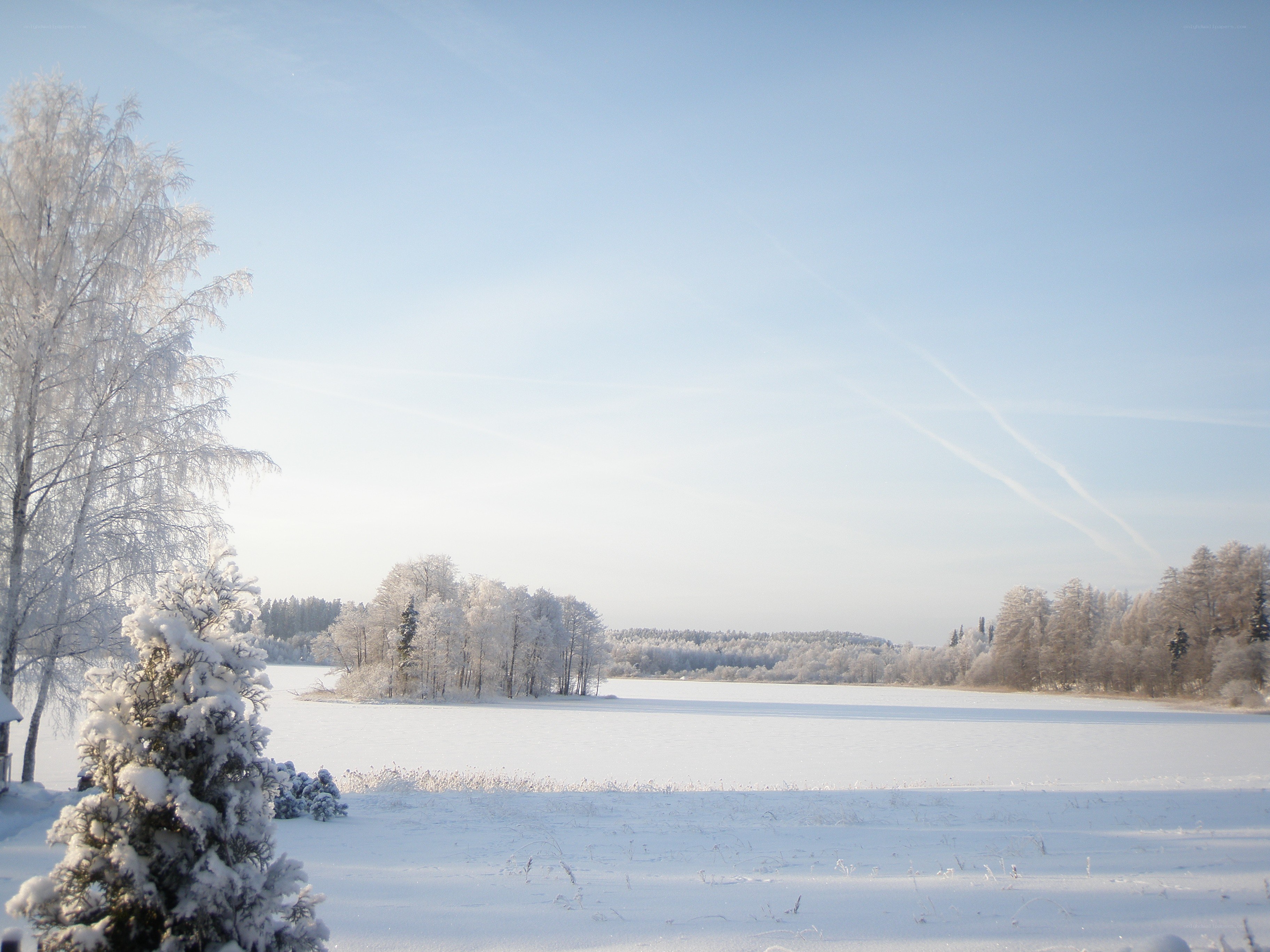 frozen lake in winter