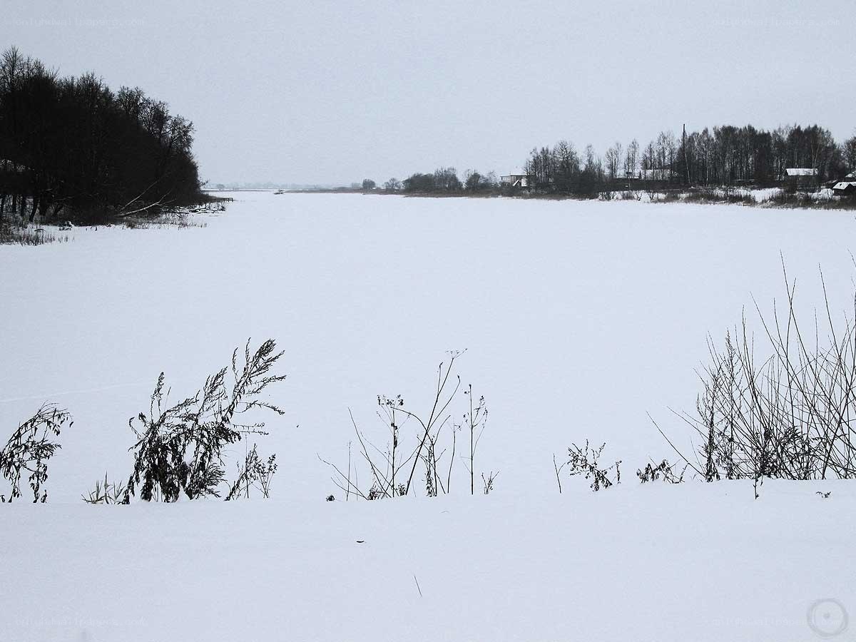 frozen lake in winter