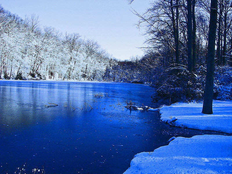 frozen lake in winter