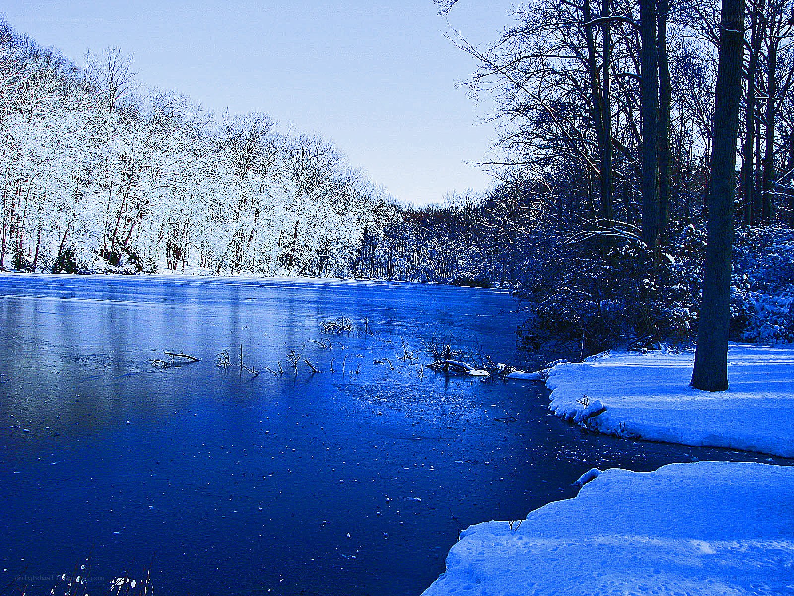 frozen lake in winter