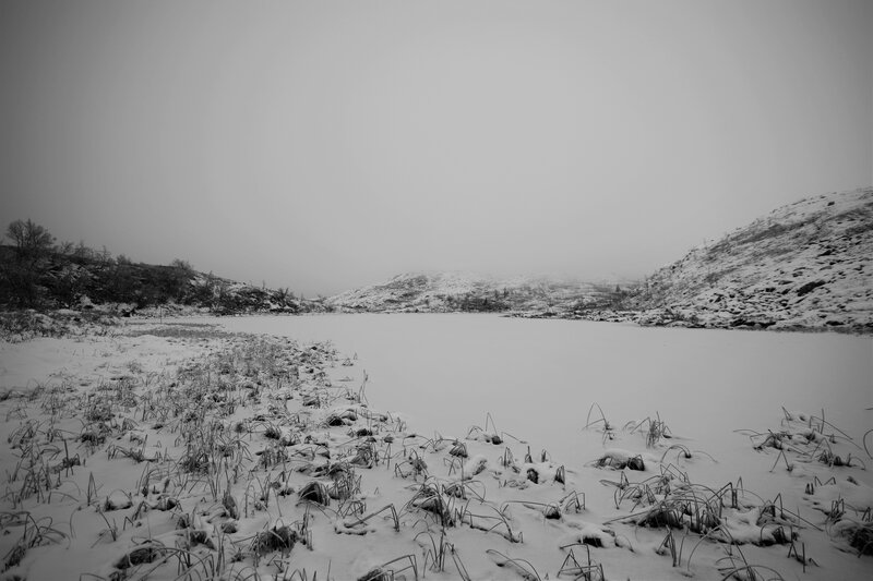 Frozen Lake in Winter — Black