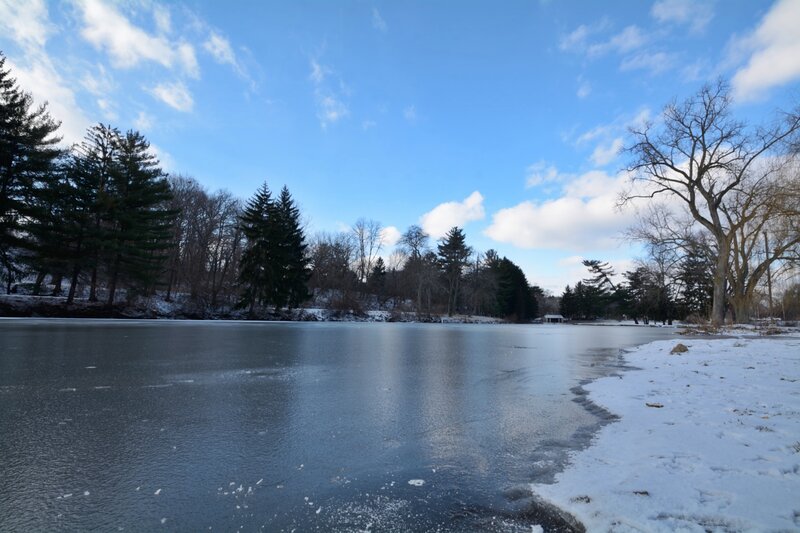 Frozen Lake in Winter — Blue, Serene, Photograph, Snow, Trees