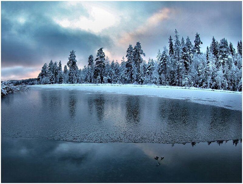 Frozen Lake in Winter — Blue, Serene
