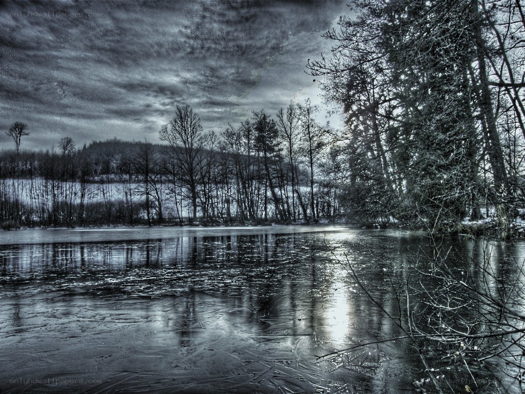 Frozen lake in winter landscape