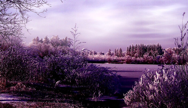Frozen Lake in Winter — Purple, Cold