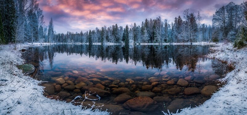 Frozen Lake in Winter — Purple, Serene