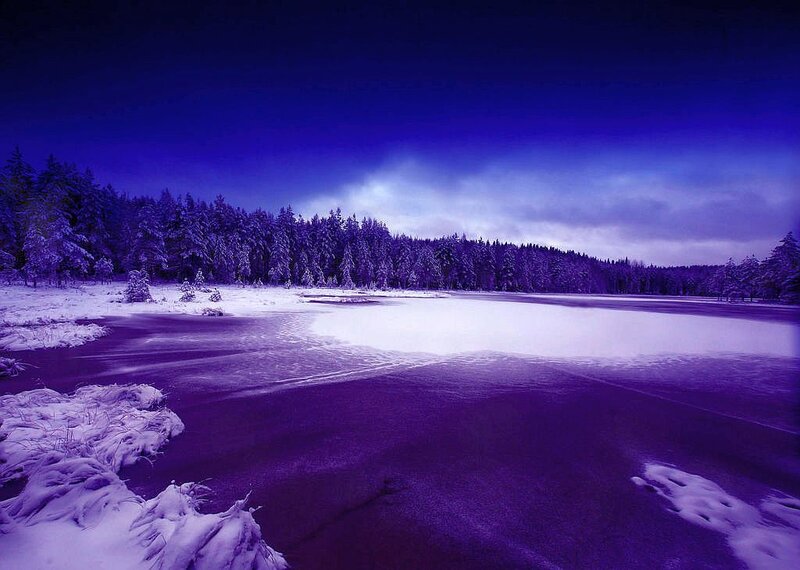 Frozen Lake in Winter — Purple