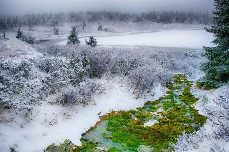 Frozen Lake in Winter — White, Cold, Photograph, Snow