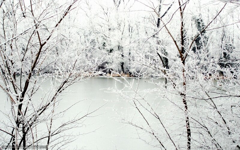 Frozen Lake in Winter — White, Cold, Photograph