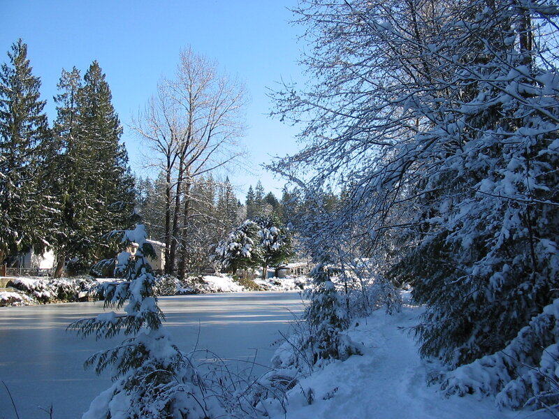 Frozen Lake in Winter — White, Serene, Photograph, Snow-covered Trees