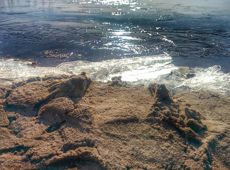 Frozen Lake Shore — Brown
