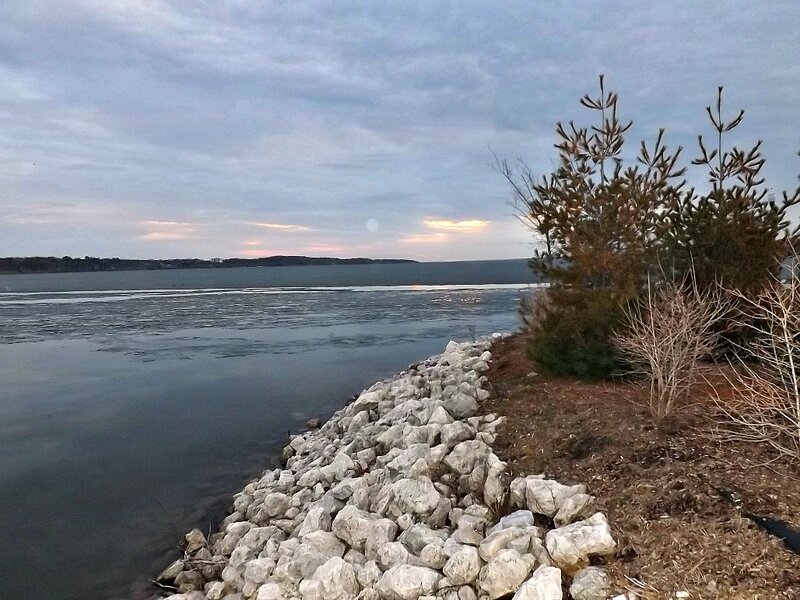Frozen Lake Shoreline — Gray