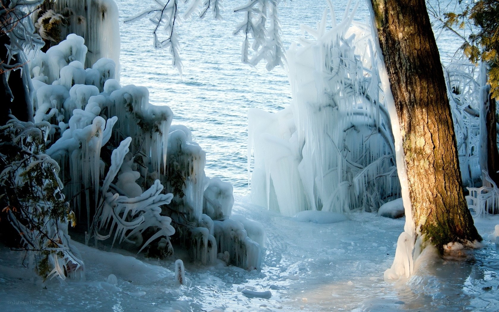 Frozen lake shoreline