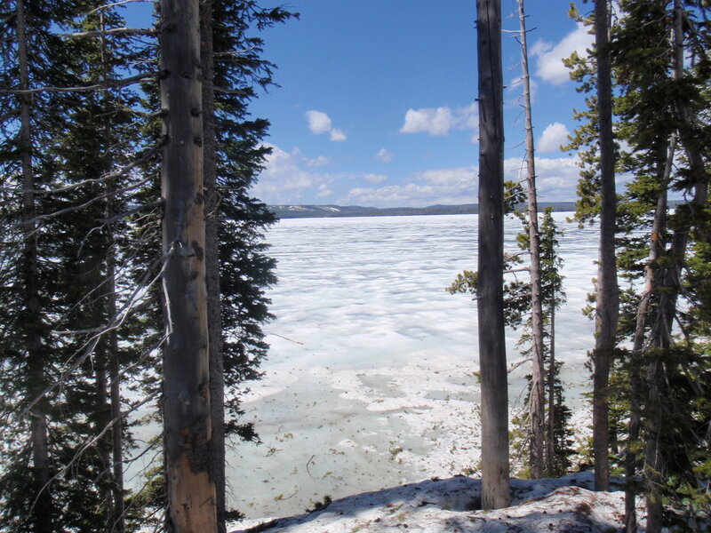 Frozen Lake Through Trees