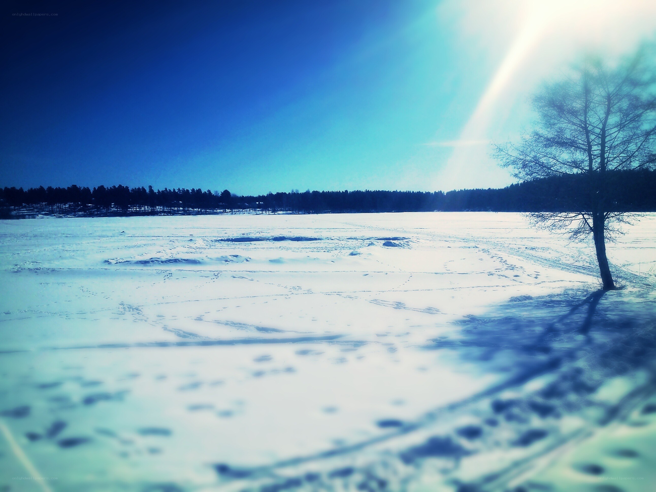 Frozen lake under bright sun