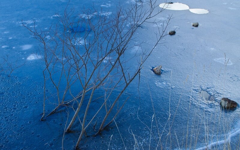 Frozen lake with bare branches