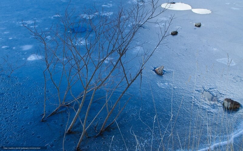 Frozen Lake with Branches — Blue