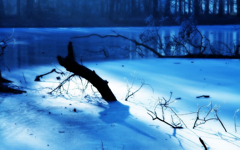 Frozen Lake with Branches