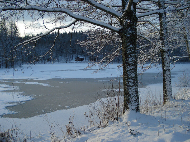 Frozen Lake with Cabin — White