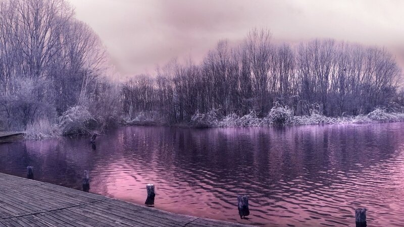 Frozen Lake with Dock — Purple, Cold