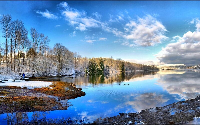 Frozen Lake with Ducks