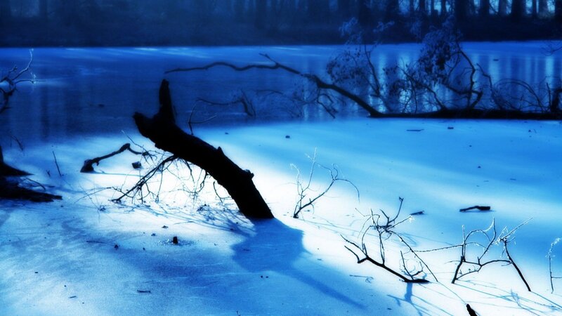 Frozen lake with fallen tree