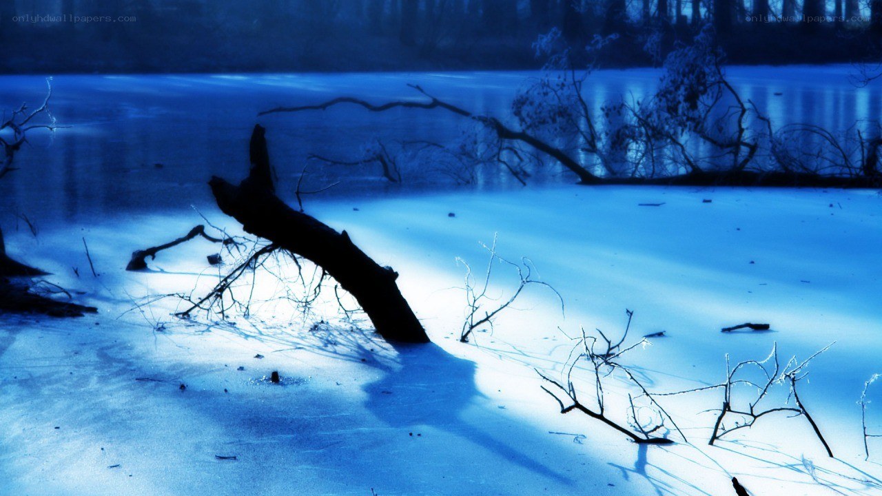 Frozen lake with fallen tree