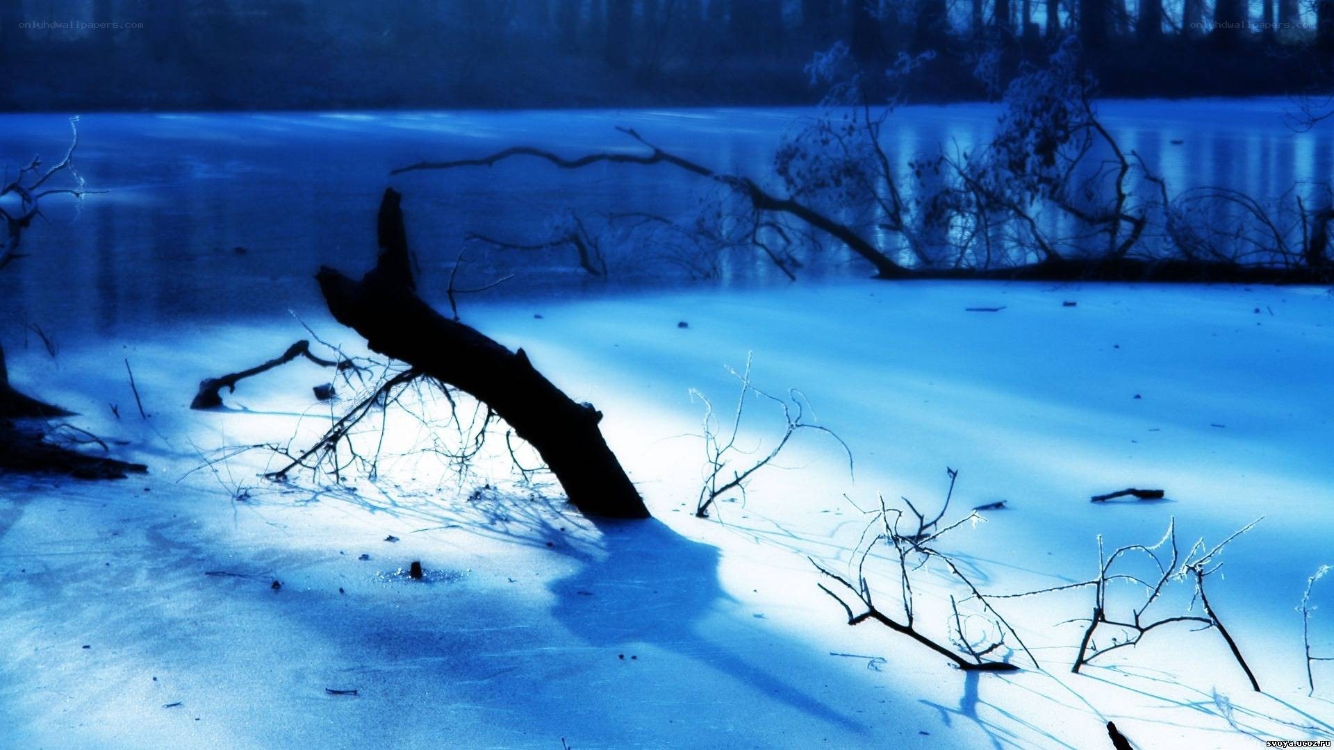 Frozen lake with fallen tree