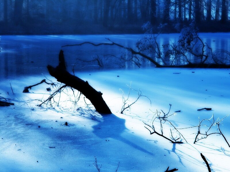 Frozen lake with fallen tree