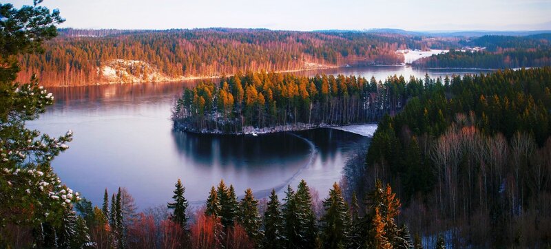 Frozen Lake with Forest — Blue, Serene