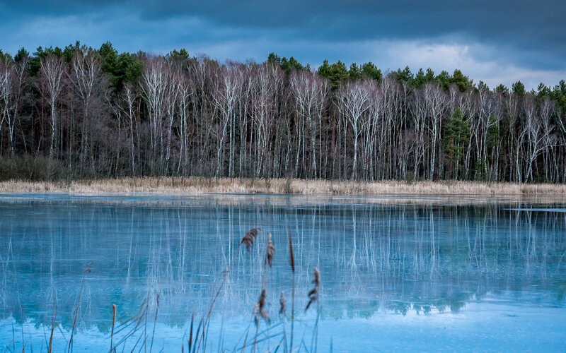 Frozen Lake with Forest — Blue