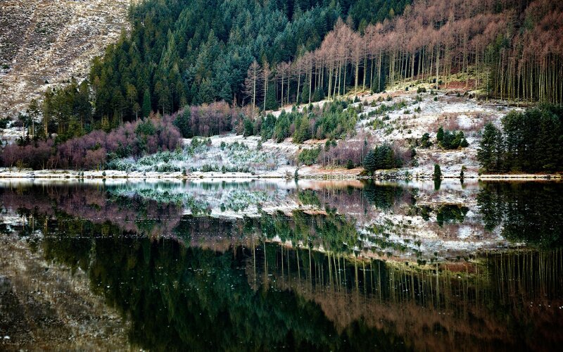 Frozen Lake with Forest — Green, Serene, Winter, Photograph