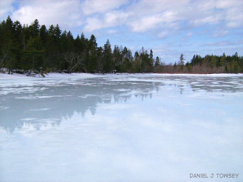 frozen lake with forest reflection