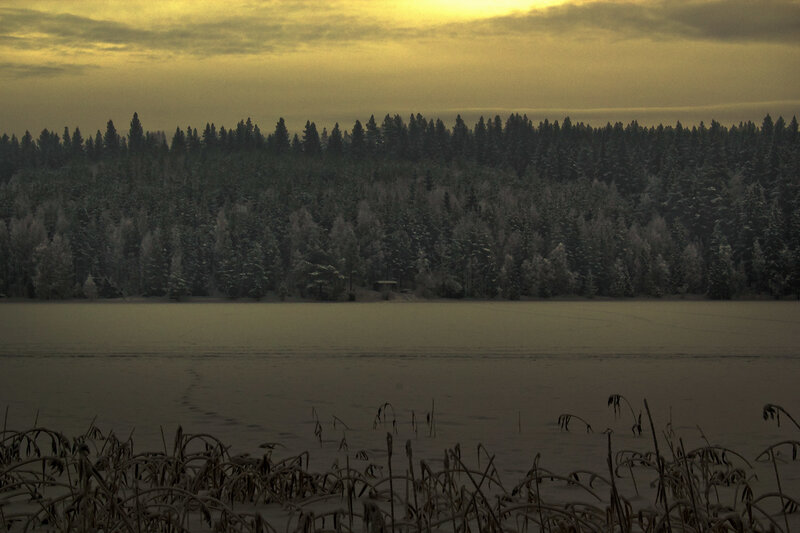 Frozen Lake with Forest