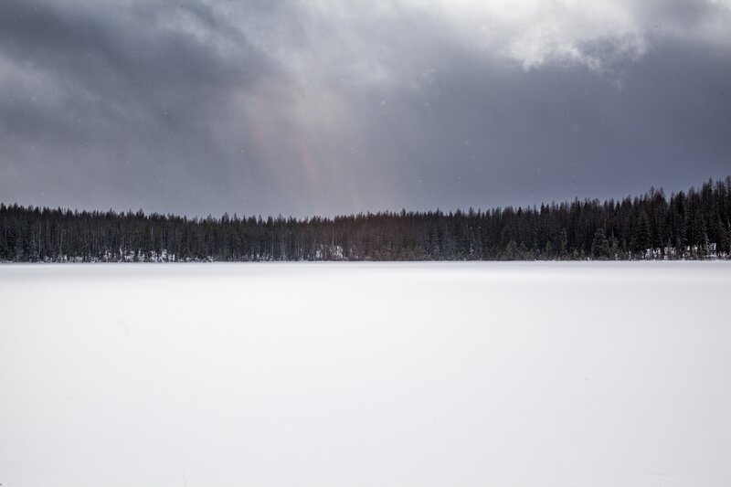 Frozen Lake with Forest — White