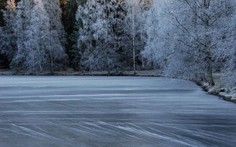 Frozen Lake with Frosty Trees