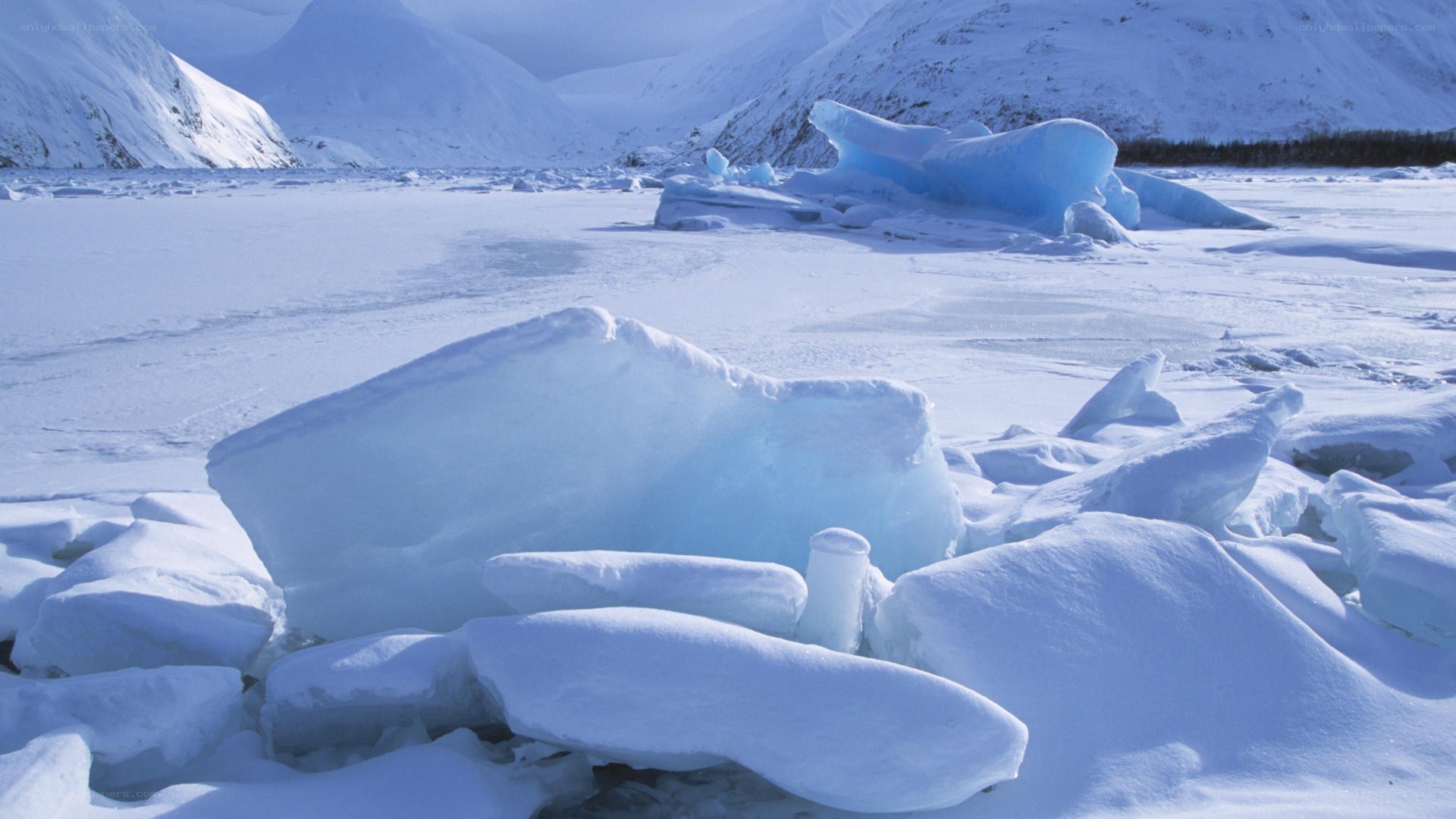 Frozen lake with ice chunks