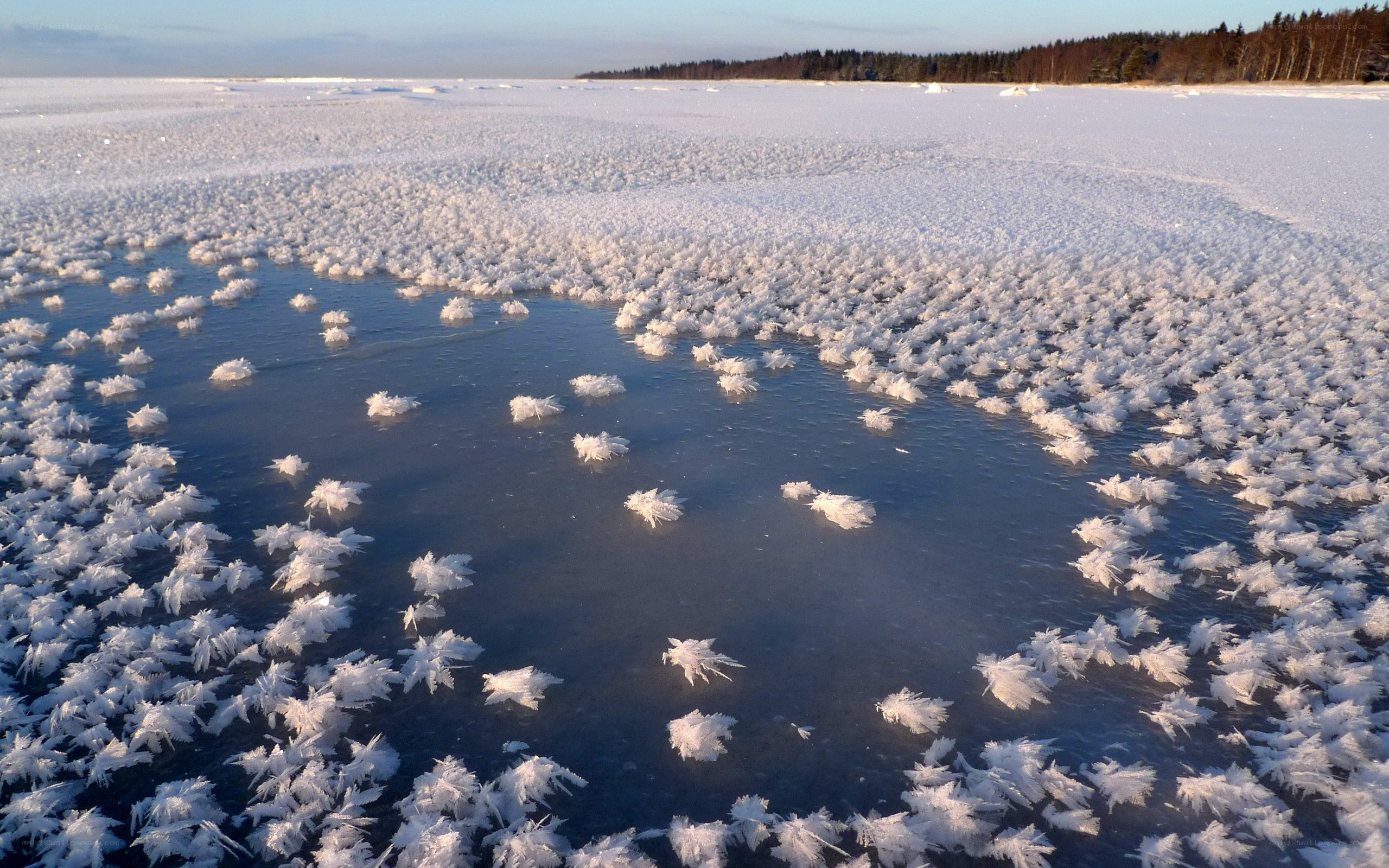 frozen lake with ice crystals